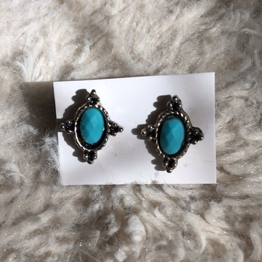 Faux Turquoise Earrings  - Picture 3 of 8